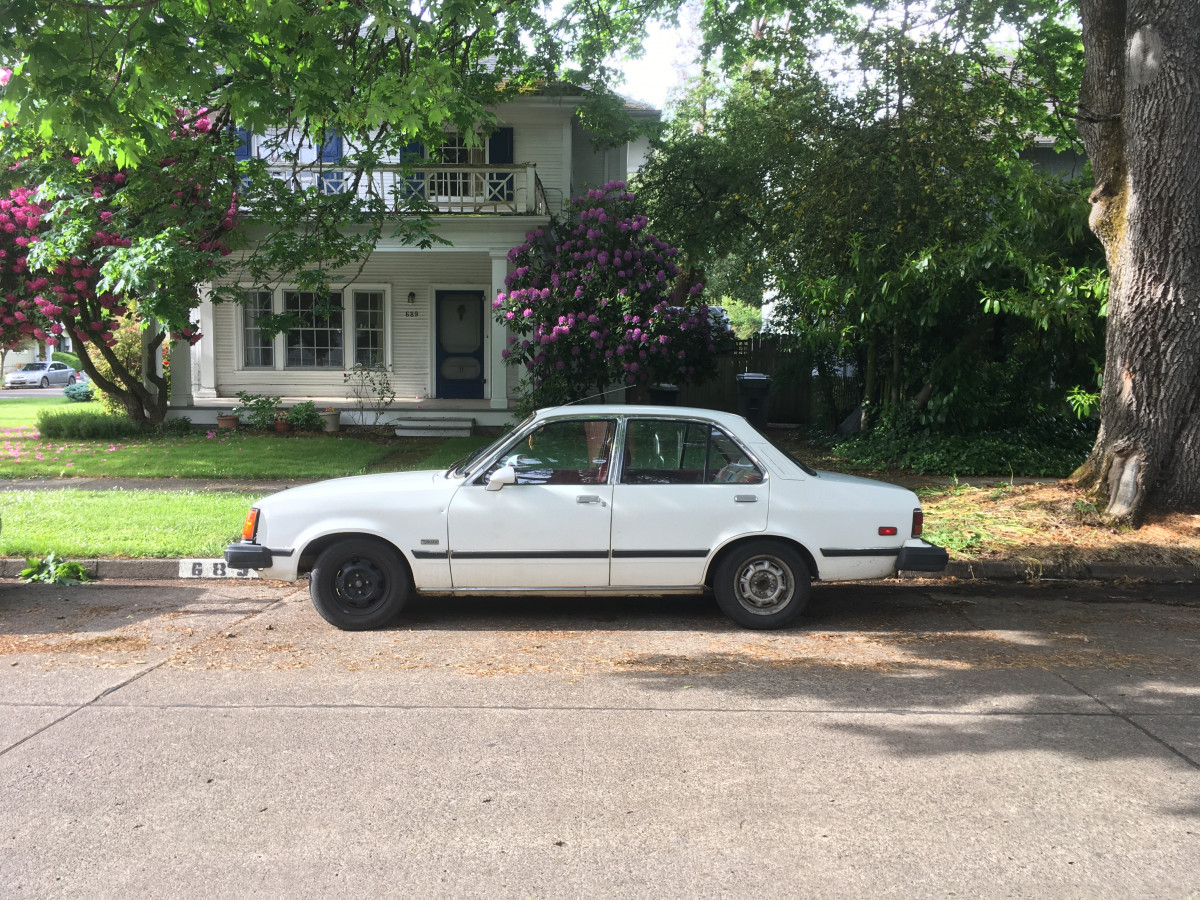 A white vintage sedan is parked on a residential street in front of a house with a porch and blooming pink rhododendrons. Large trees provide shade, and sunlight filters through the leaves onto the car and sidewalk.
