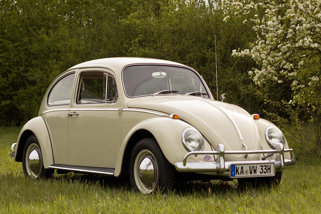 A classic cream-colored Volkswagen Beetle is parked on grass, with green trees and blooming bushes in the background. The car has rounded fenders, chrome bumpers, and a European license plate.