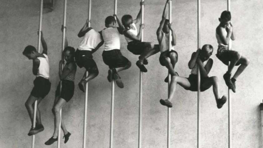 A group of children in shorts and tank tops climb gymnasium poles inside a room, each gripping a pole as they ascend, with some looking at the camera and others focused on climbing.