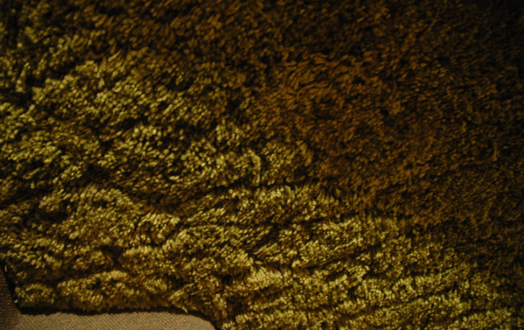 Close-up of a textured, greenish-brown shaggy carpet or rug, showing its dense fibers and uneven surface.