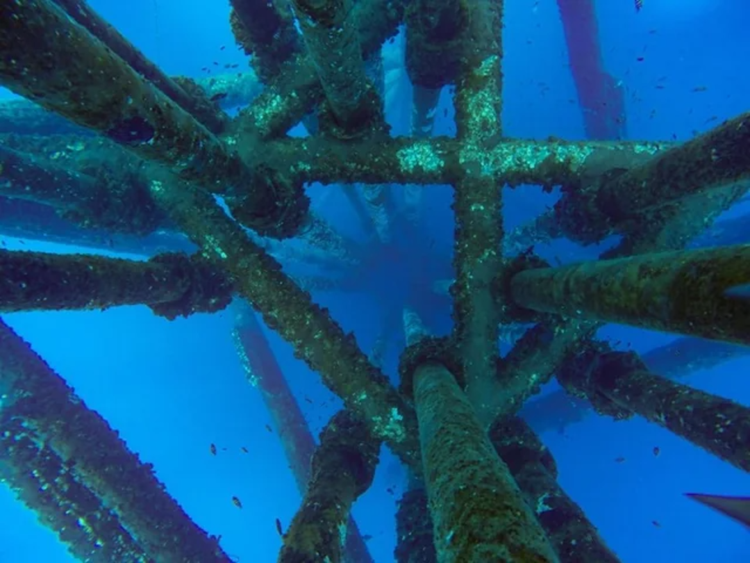 Underwater view of barnacle-encrusted metal beams forming the structure of an offshore oil platform, with small fish swimming around, all set against the deep blue ocean background.
