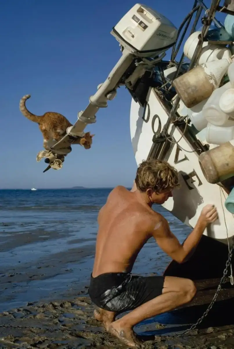 A shirtless person kneels beside a boat on a beach, painting its hull. An orange cat leaps from the boat’s stern, mid-air, with the sea and blue sky in the background.