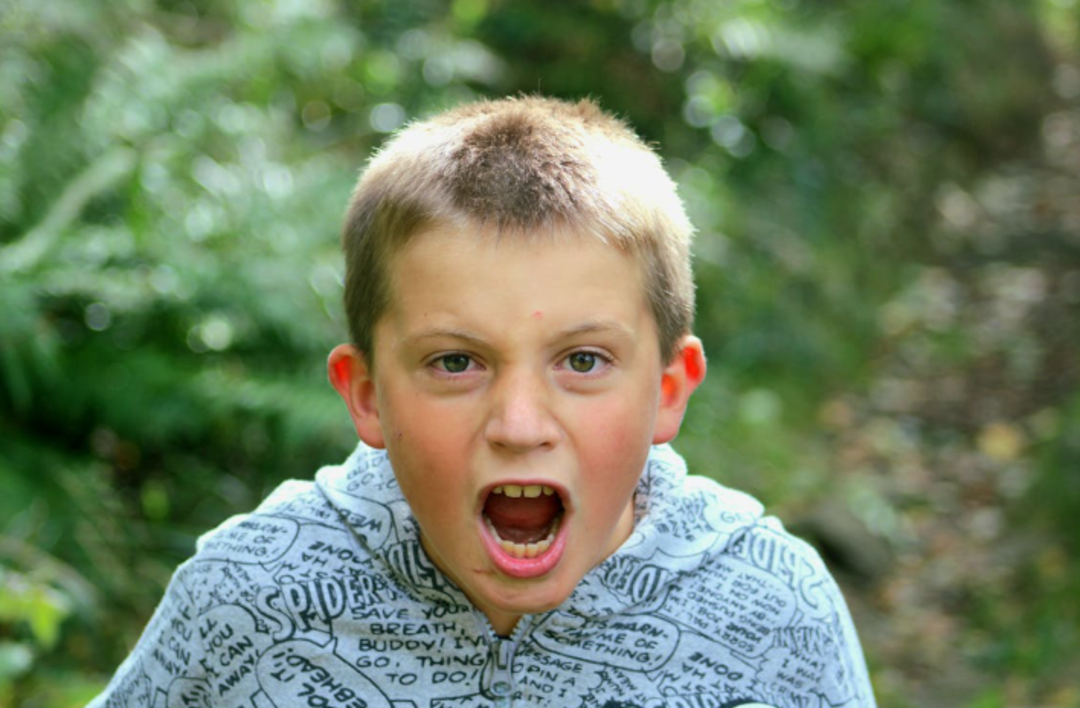 A young boy with short hair, wearing a gray hoodie with black text, stands outdoors and looks directly at the camera with his mouth wide open, appearing to shout or yell. Green foliage is blurred in the background.