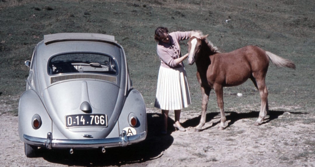 A woman in a light skirt stands beside a vintage silver Volkswagen Beetle, petting a brown foal on a grassy, sunlit field.