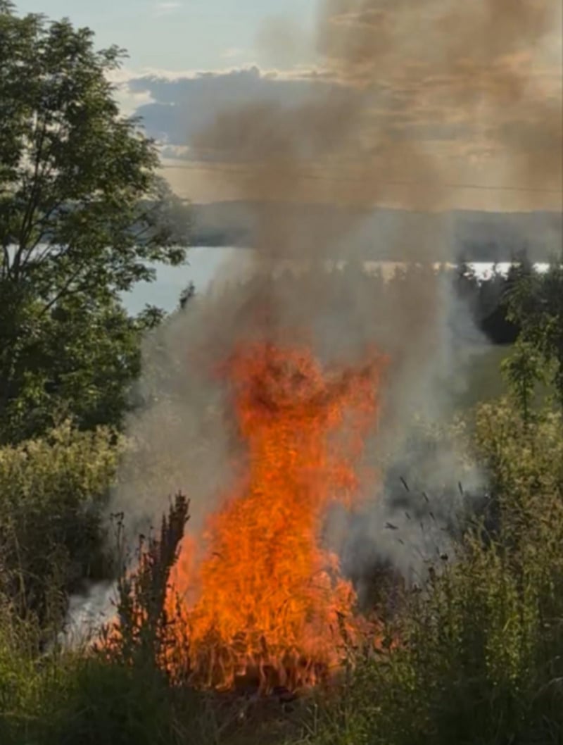 A large, intense orange fire burns among tall grass and bushes outdoors, sending thick smoke into the air. Trees and a body of water are visible in the background under a partly cloudy sky.