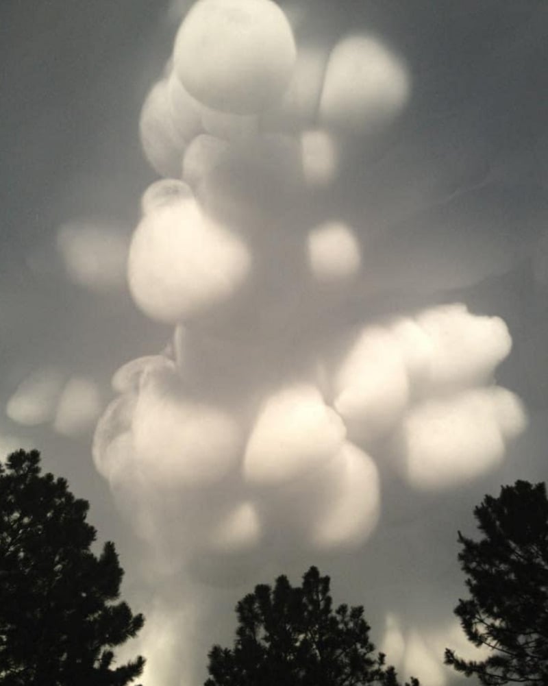 Large, rounded, and lumpy white clouds fill the sky, illuminated dramatically, with dark tree silhouettes at the bottom of the image. The scene has a surreal, otherworldly look.