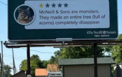 billboards that look out of place