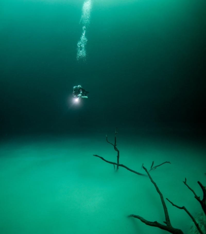 A scuba diver with a flashlight swims through deep, greenish water, with bubbles rising above and a bare, submerged tree branch visible at the bottom of the scene.