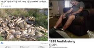 On the left, a large pile of fish lies on the grass. On the right, a man sleeps in a recliner chair inside a home. Both images include humorous captions about selling fish and a Ford Mustang.