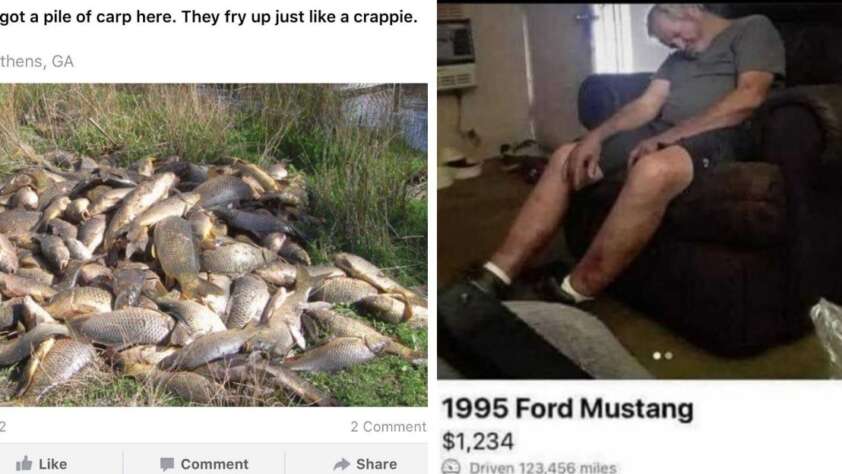 On the left, a large pile of fish lies on the grass. On the right, a man sleeps in a recliner chair inside a home. Both images include humorous captions about selling fish and a Ford Mustang.