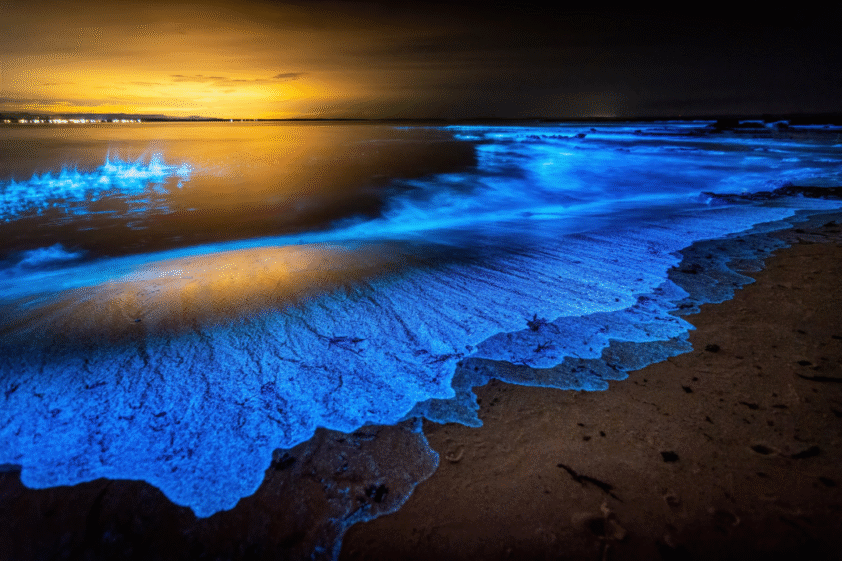 Weird Waves - Natural main image 1