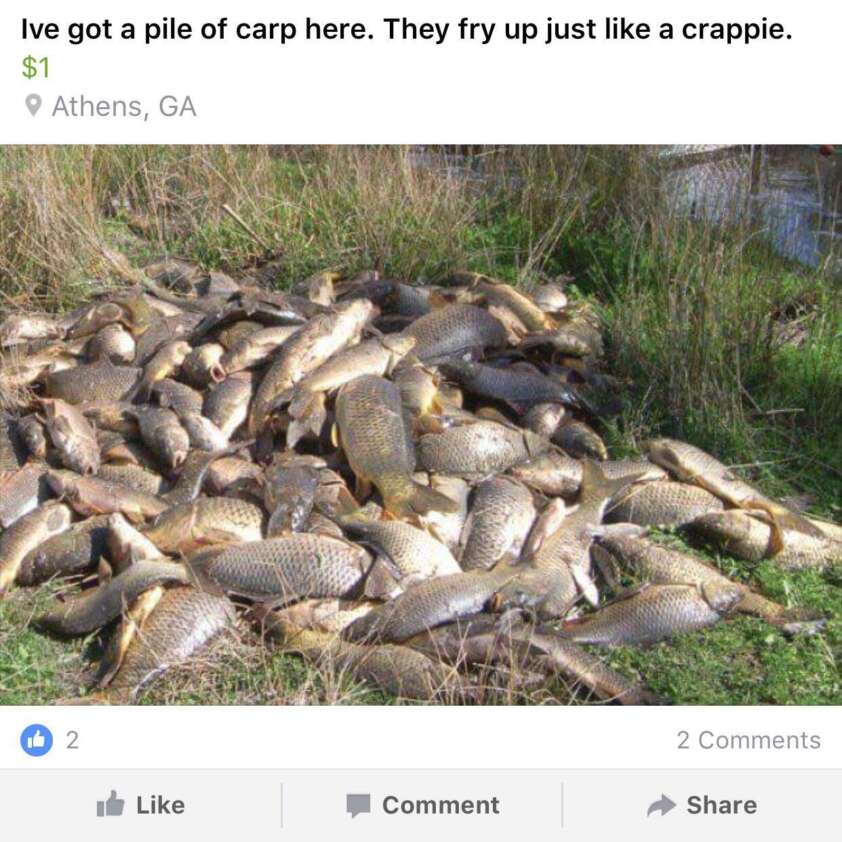 25 Weirdest Things People Actually Tried to Sell Online