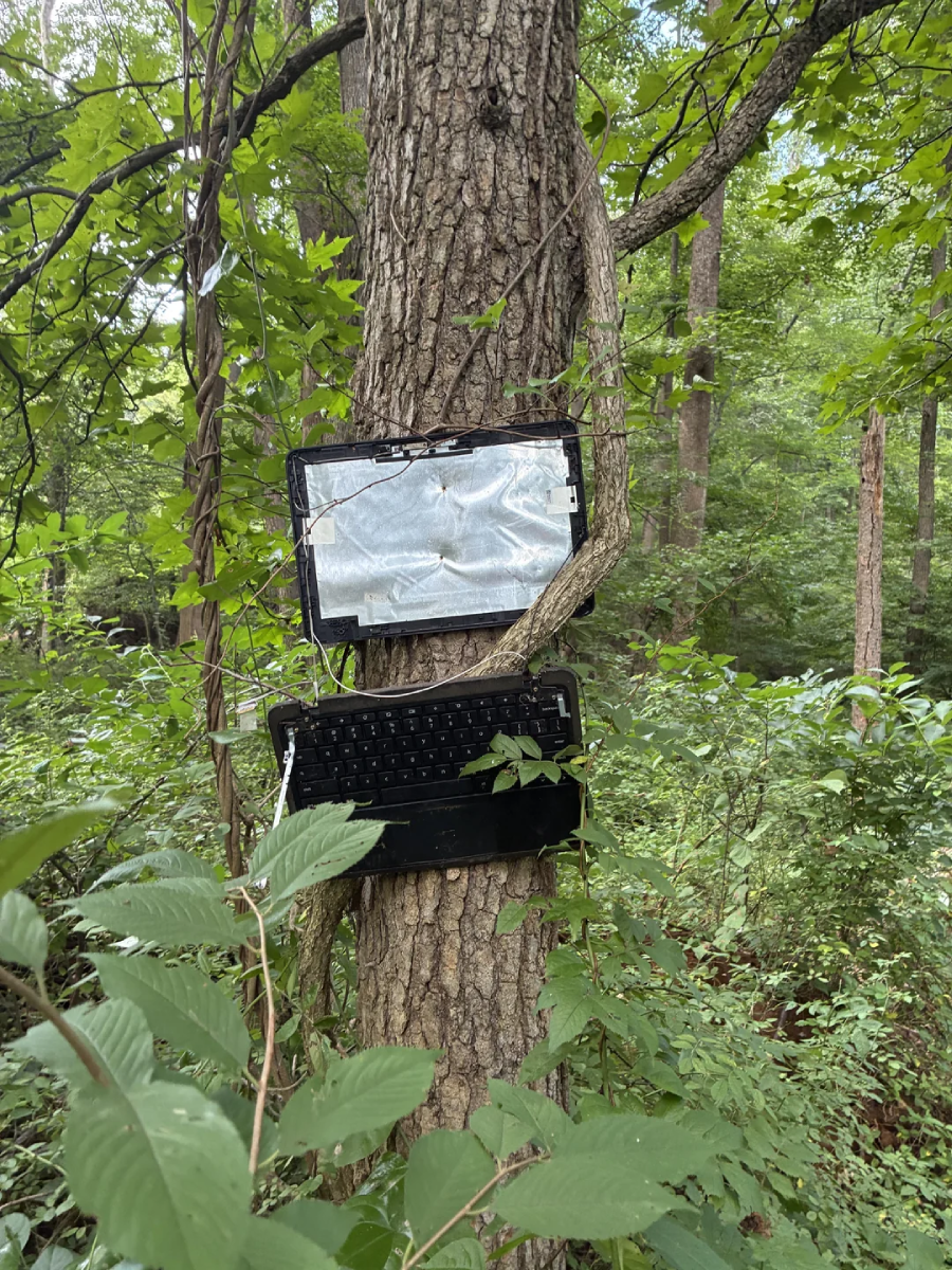 A broken laptop with its screen and keyboard separated is wedged between branches and vines on a tree trunk in a dense, green forest.