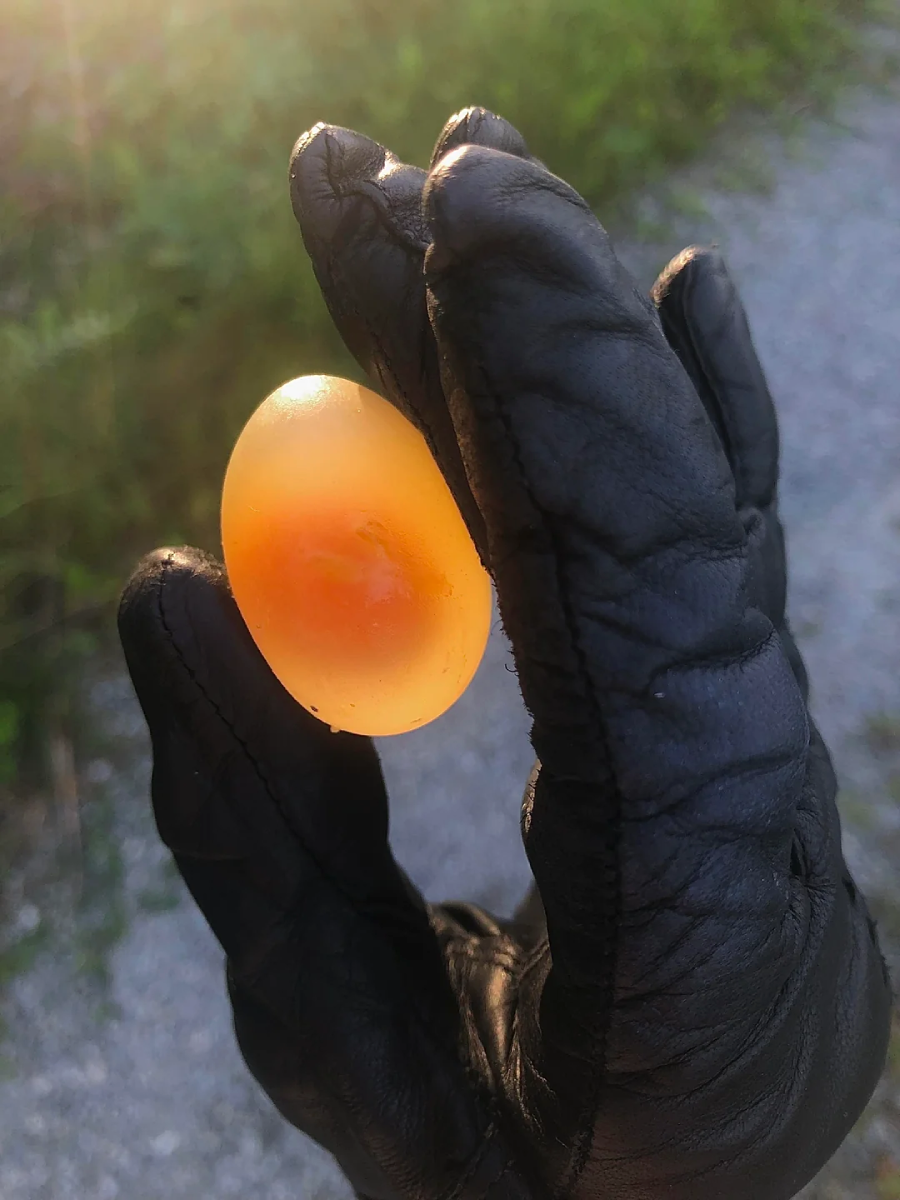 A gloved hand holding a translucent, orange egg-shaped object outdoors with sunlight shining on it, and greenery visible in the blurred background.