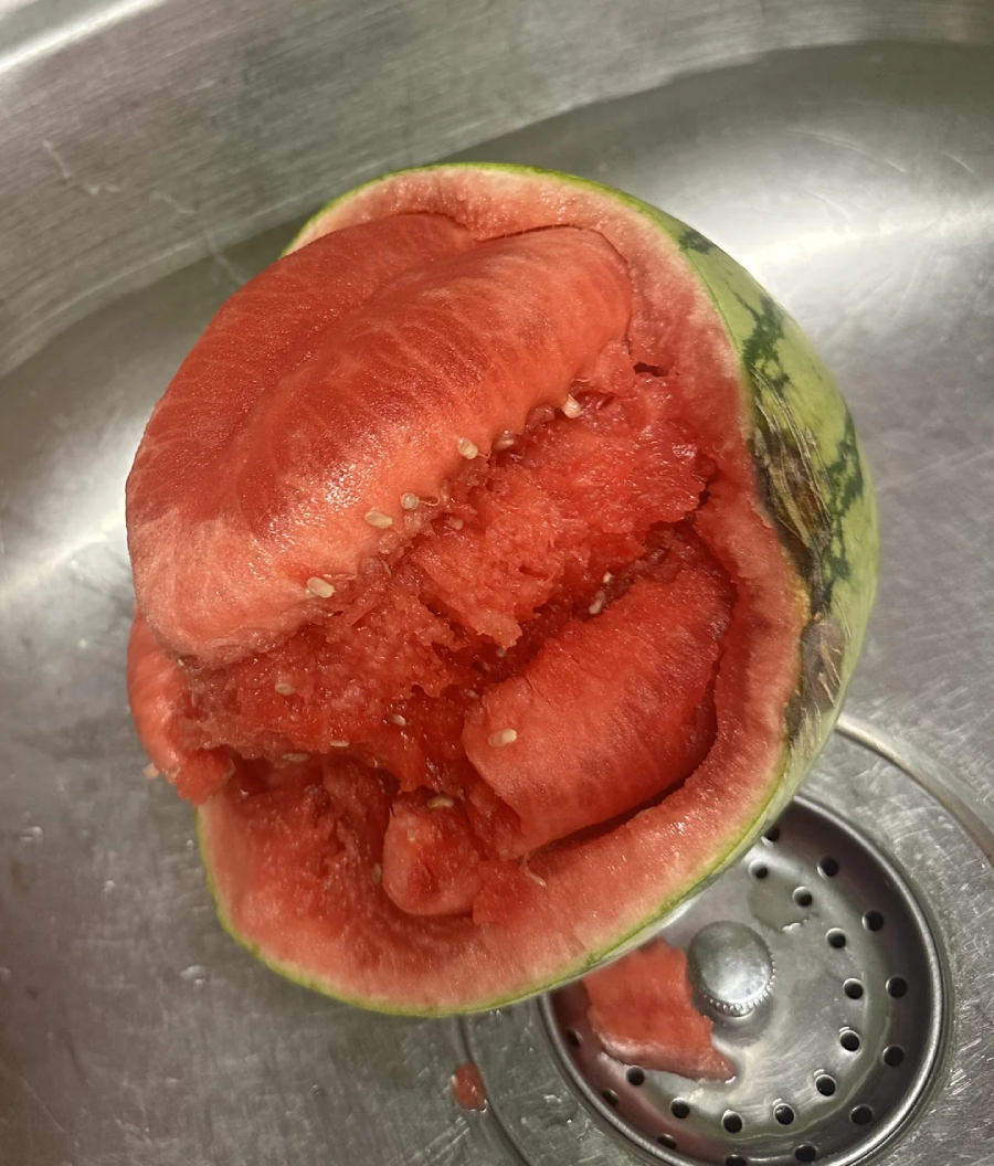 A watermelon with an unusual, lumpy interior and misshapen flesh sits cut open in a metal sink near a drain.