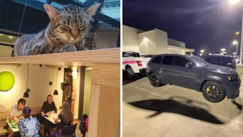 tricky-optical-illusions-deceived-to-no-end