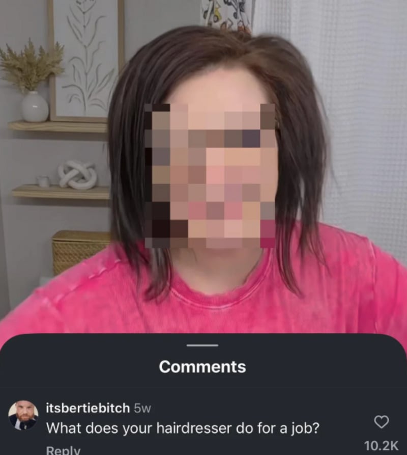 A person with shoulder-length dark hair, wearing a pink shirt, appears with a pixelated face. Below, a comment reads: "What does your hairdresser do for a job?" with 10.2K likes.