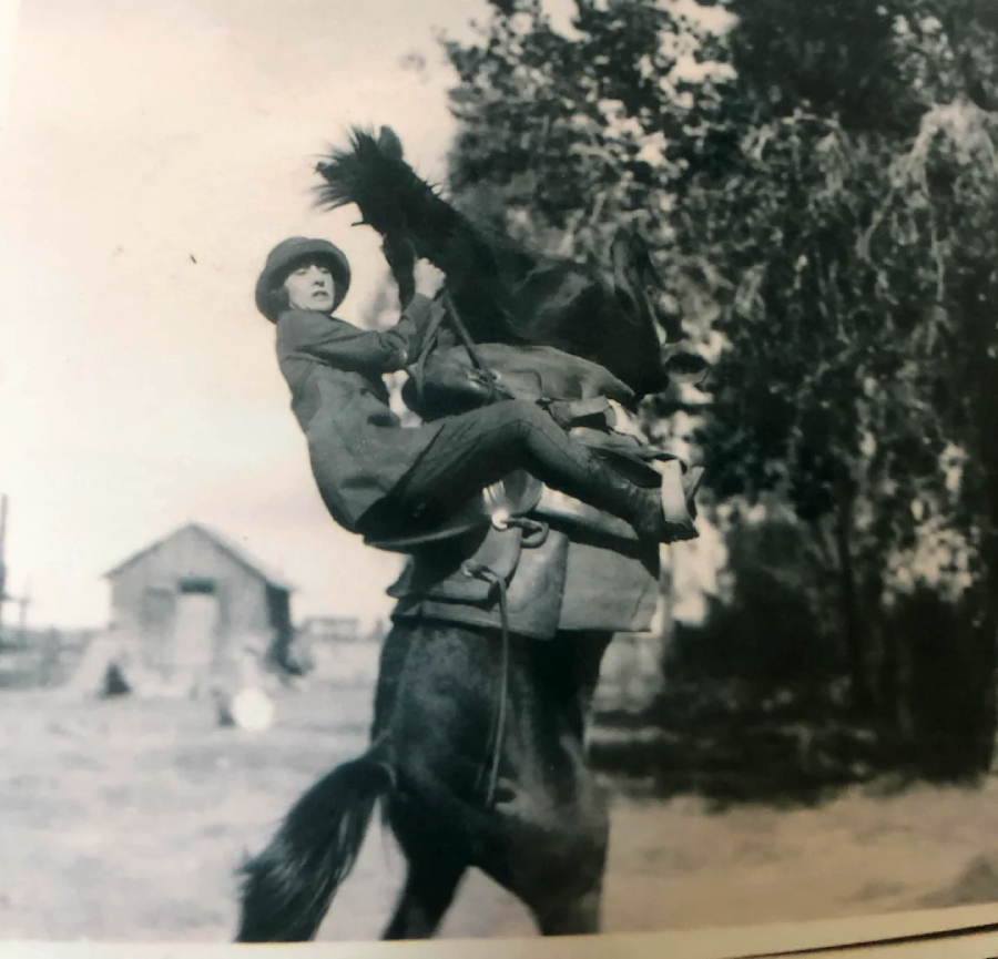 A person wearing a hat and coat clings to the neck of a rearing horse outdoors, with trees and a small building in the background.