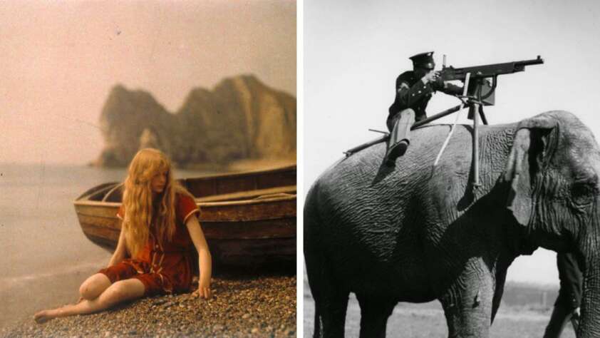 Left: A young woman with long blond hair sits on a pebbled beach beside a wooden boat, with cliffs in the background. Right: A man in uniform sits atop an elephant, aiming a machine gun mounted on its back.