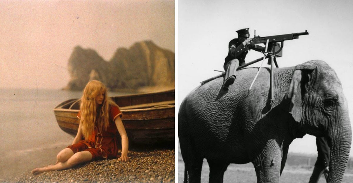 Left: A young woman with long blond hair sits on a pebbled beach beside a wooden boat, with cliffs in the background. Right: A man in uniform sits atop an elephant, aiming a machine gun mounted on its back.