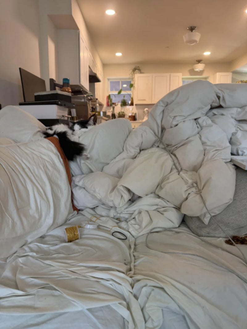 A messy bed with tangled white sheets and comforter in a cluttered room. A black and white cat is partially visible among the bedding. Various small items are scattered on the bed. A kitchen is visible in the background.