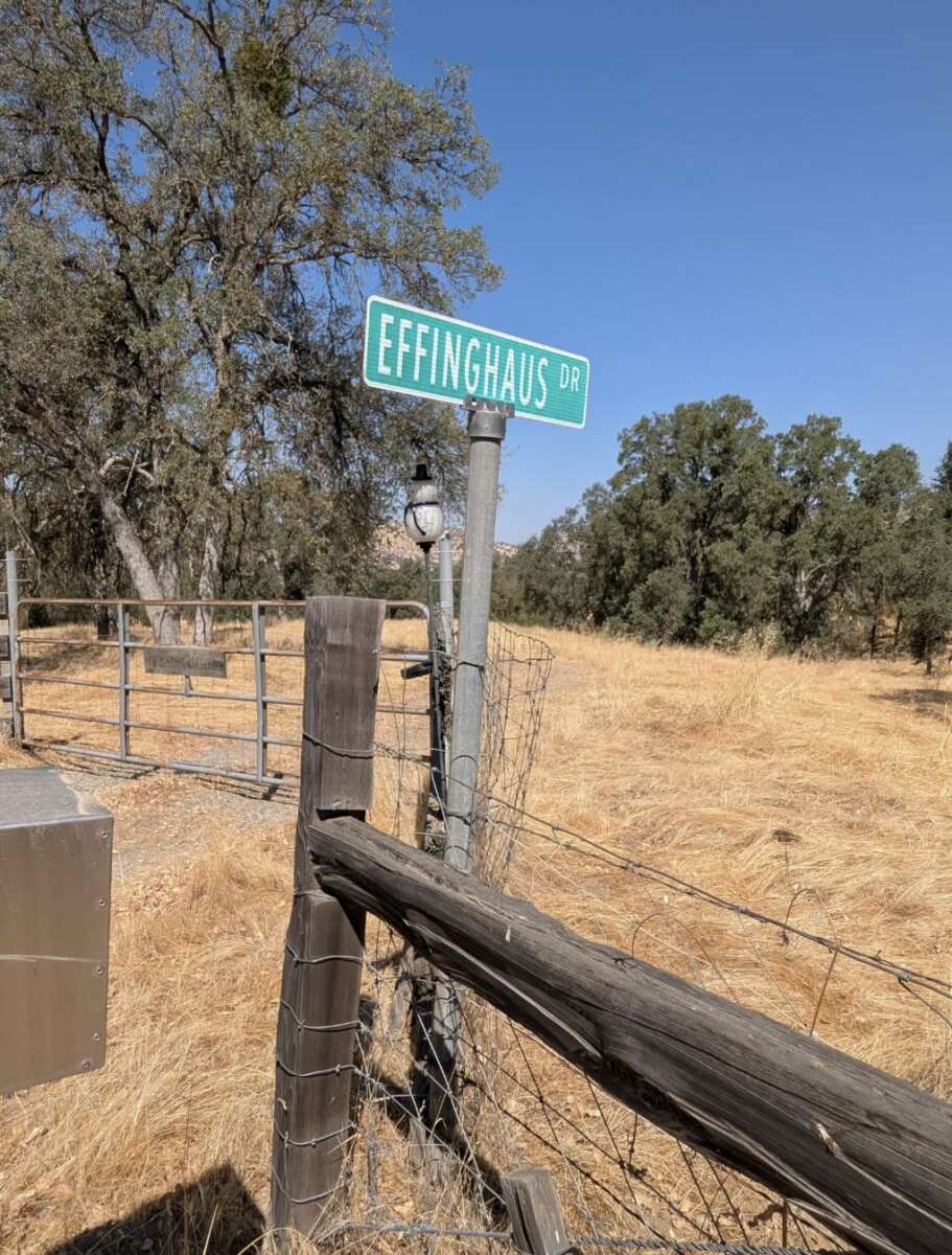 Green street sign reading "EFFINGHAUS DR" mounted on a pole beside a wooden fence and wire gate, set in a dry grassy field with scattered trees under a clear blue sky.