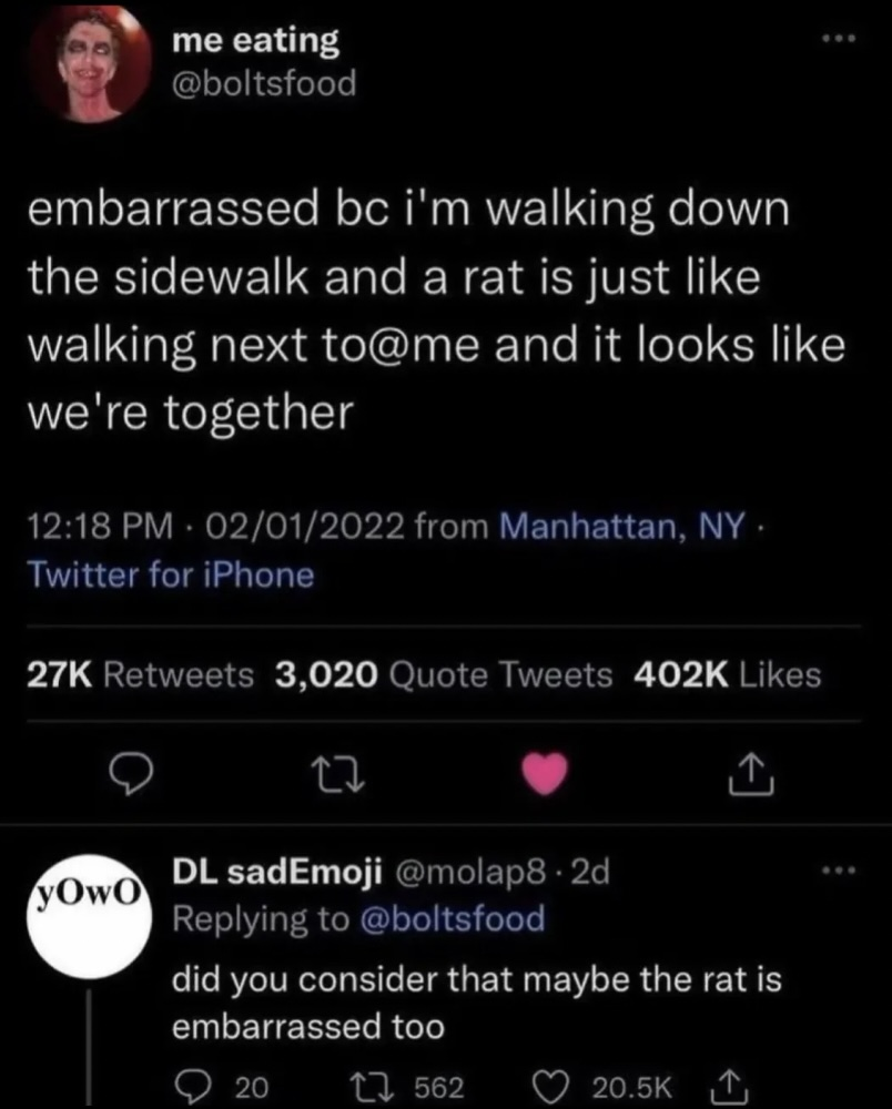 A tweet reads, “embarrassed bc i’m walking down the sidewalk and a rat is just like walking next to@me and it looks like we're together.” A reply says, “did you consider that maybe the rat is embarrassed too.”