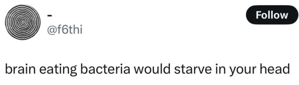 A tweet from @f6thi reads: "brain eating bacteria would starve in your head.