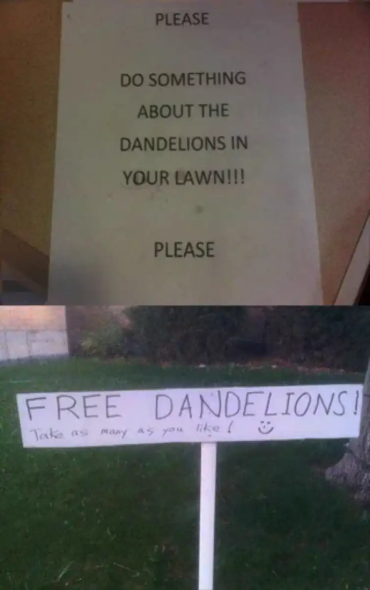Two signs: the first asks, "Please do something about the dandelions in your lawn!!!"; the second says, "Free dandelions! Take as many as you like!" with a smiley face.