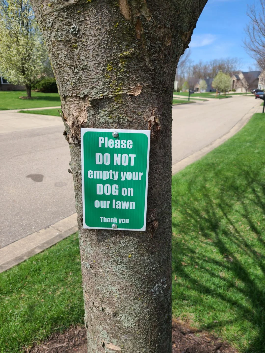 A green and white sign on a tree reads, "Please DO NOT empty your DOG on our lawn. Thank you," beside a suburban street with green grass and trees.