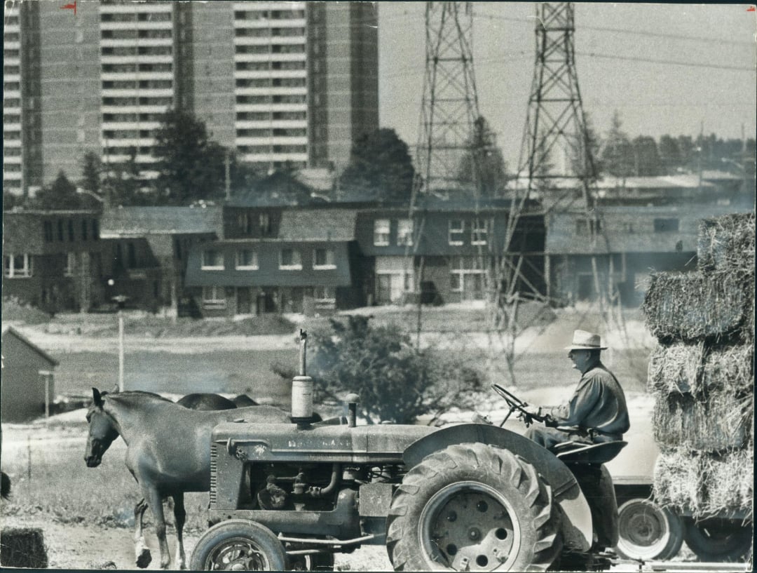 A man drives a tractor loaded with hay bales past a horse in a field, with mid-rise apartment buildings, houses, and power lines visible in the background. The image is in black and white.