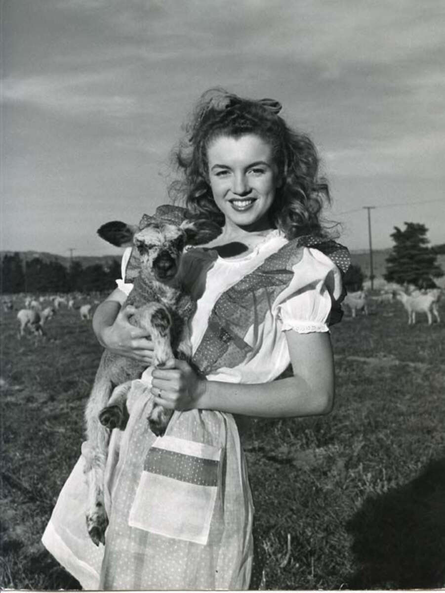 A young woman with wavy hair, wearing a dress with an apron, smiles while holding a small lamb in a grassy field with sheep and trees in the background under a partly cloudy sky.