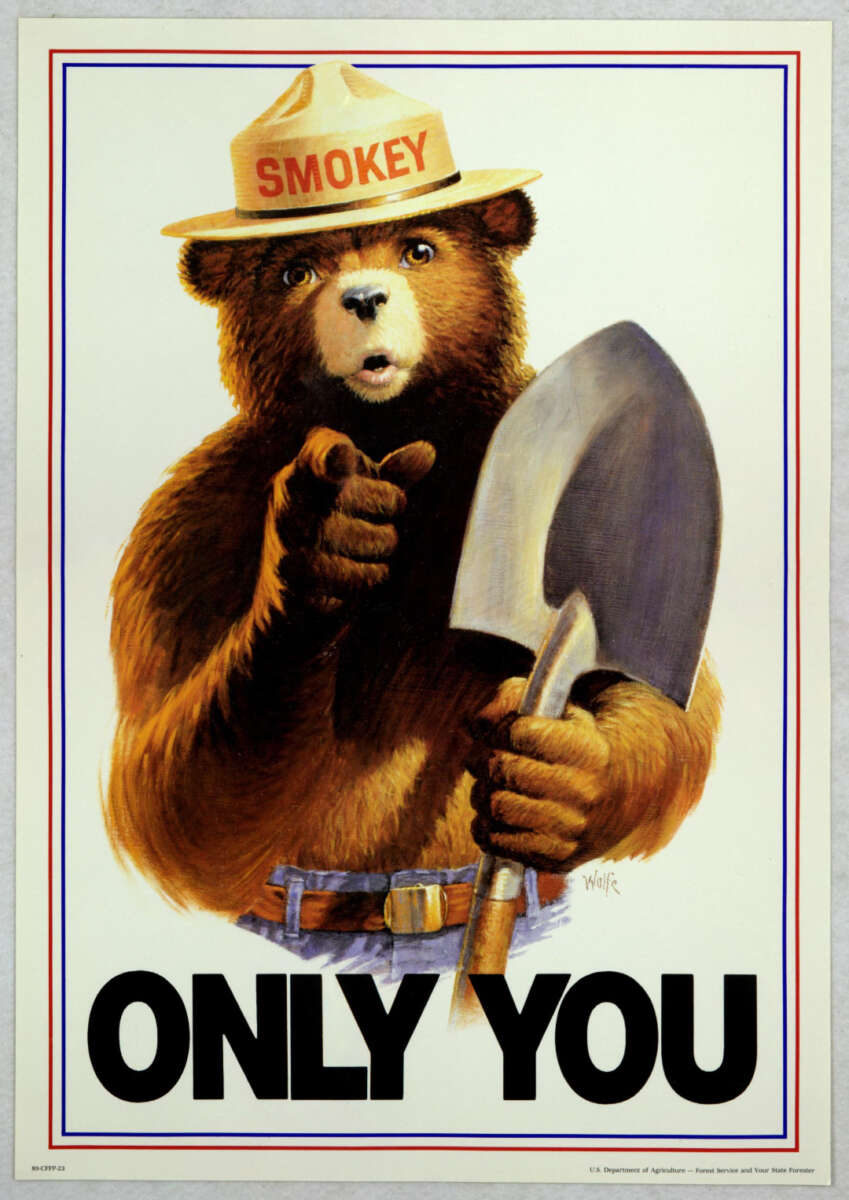 Illustration of Smokey Bear wearing a ranger hat labeled "Smokey," holding a shovel, and pointing forward. Large text at the bottom reads "ONLY YOU.