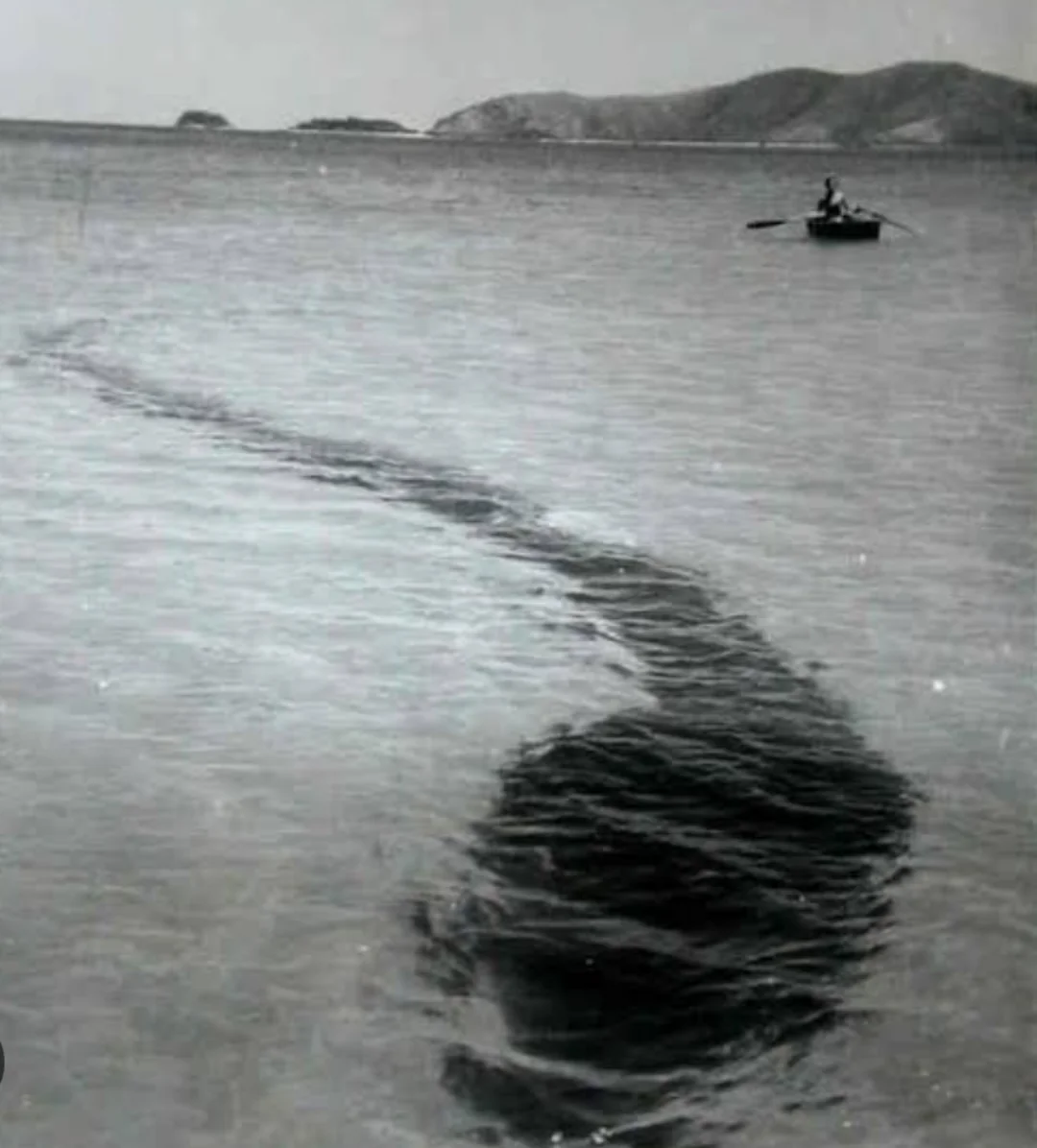 A person rows a small boat on calm water near distant hills, while a dark, mysterious shape or shadow resembling a huge underwater creature appears beneath the surface. The image is in black and white.