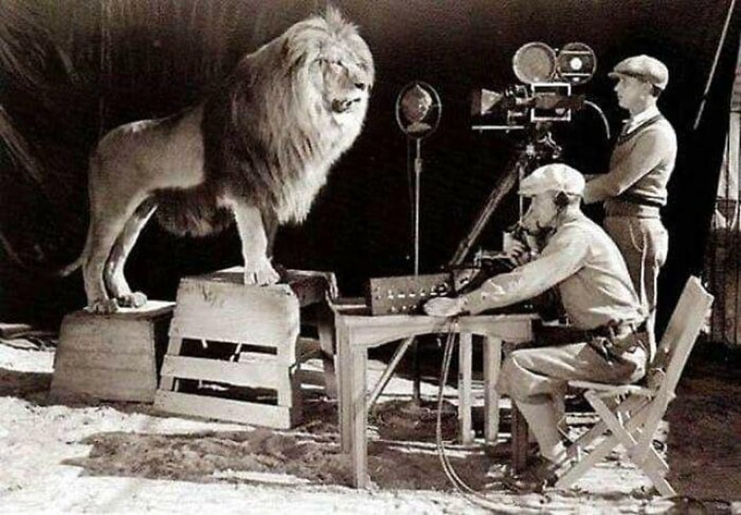 A lion stands on a platform in front of cameras and equipment while two men operate filming and audio devices in a studio setting.