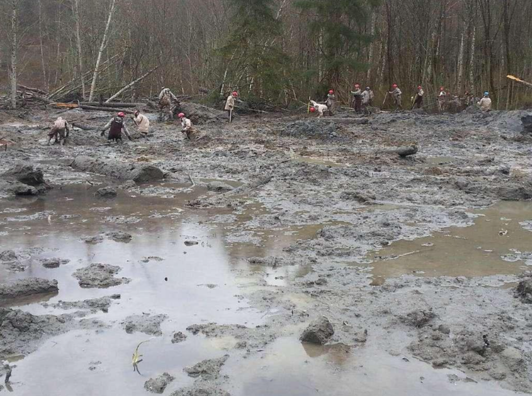 A group of people in hard hats and work clothes stand and walk across a muddy, waterlogged area in a forest clearing, with trees and fallen branches in the background.