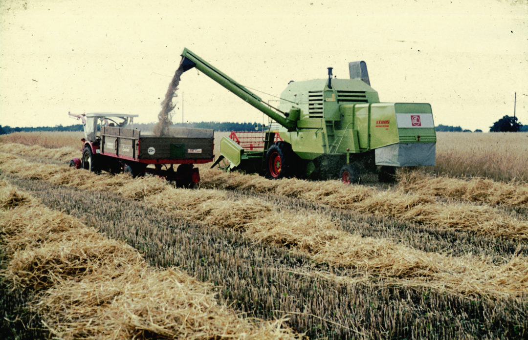 A green combine harvester unloads harvested grain into a trailer pulled by a red tractor in a field, with rows of cut crops visible on the ground under a cloudy sky.
