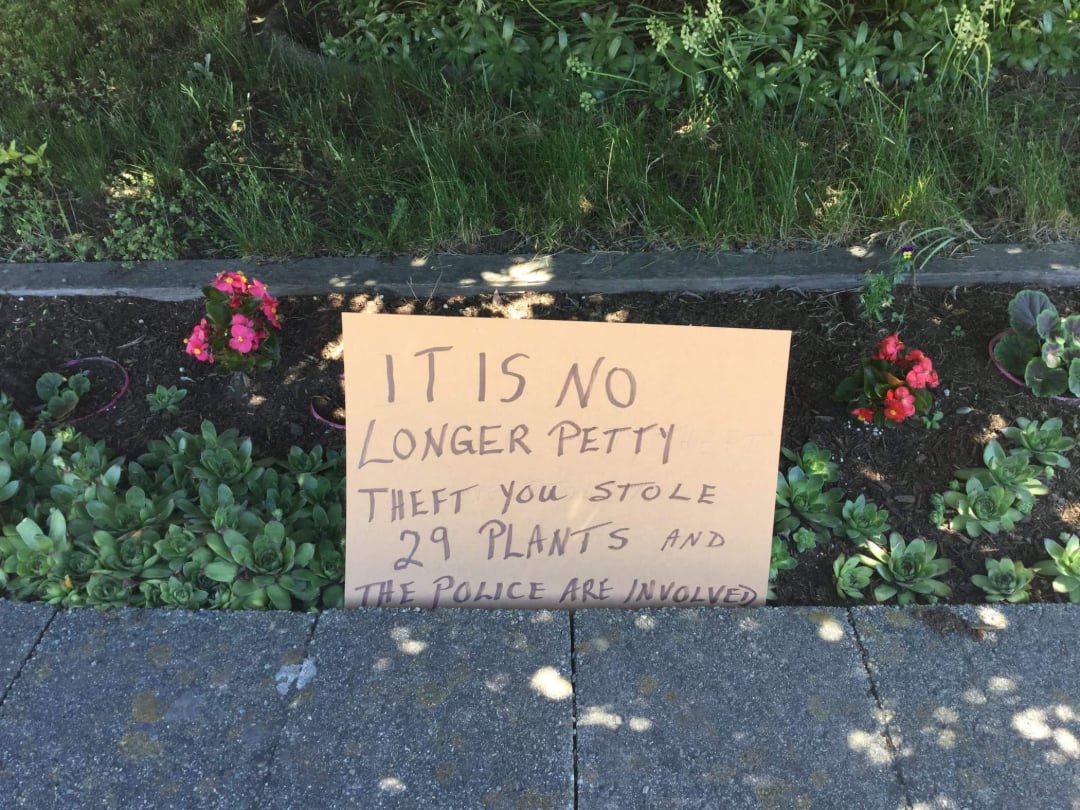 A cardboard sign in a flower bed reads: "IT IS NO LONGER PETTY THEFT YOU STOLE 29 PLANTS AND THE POLICE ARE INVOLVED." Flowers and greenery surround the sign.