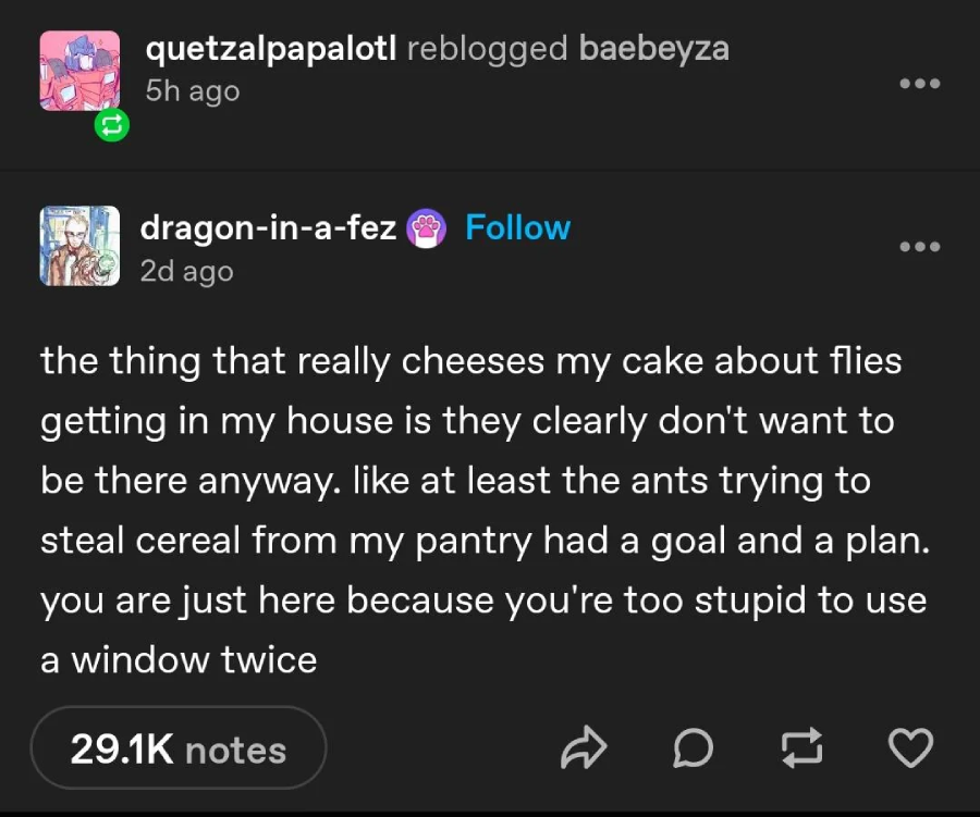 A Tumblr post humorously complains that flies enter houses with no purpose, unlike ants that at least have a plan to steal food, joking that flies are simply too stupid to use a window twice. The post has 29.1K notes.