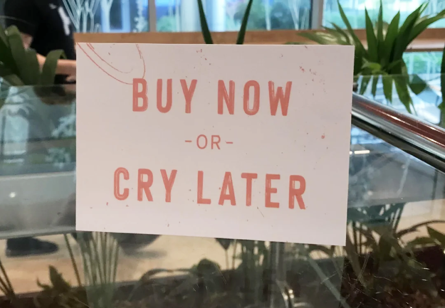 A sign with pink letters reads "BUY NOW OR CRY LATER," displayed indoors near glass and green plants.