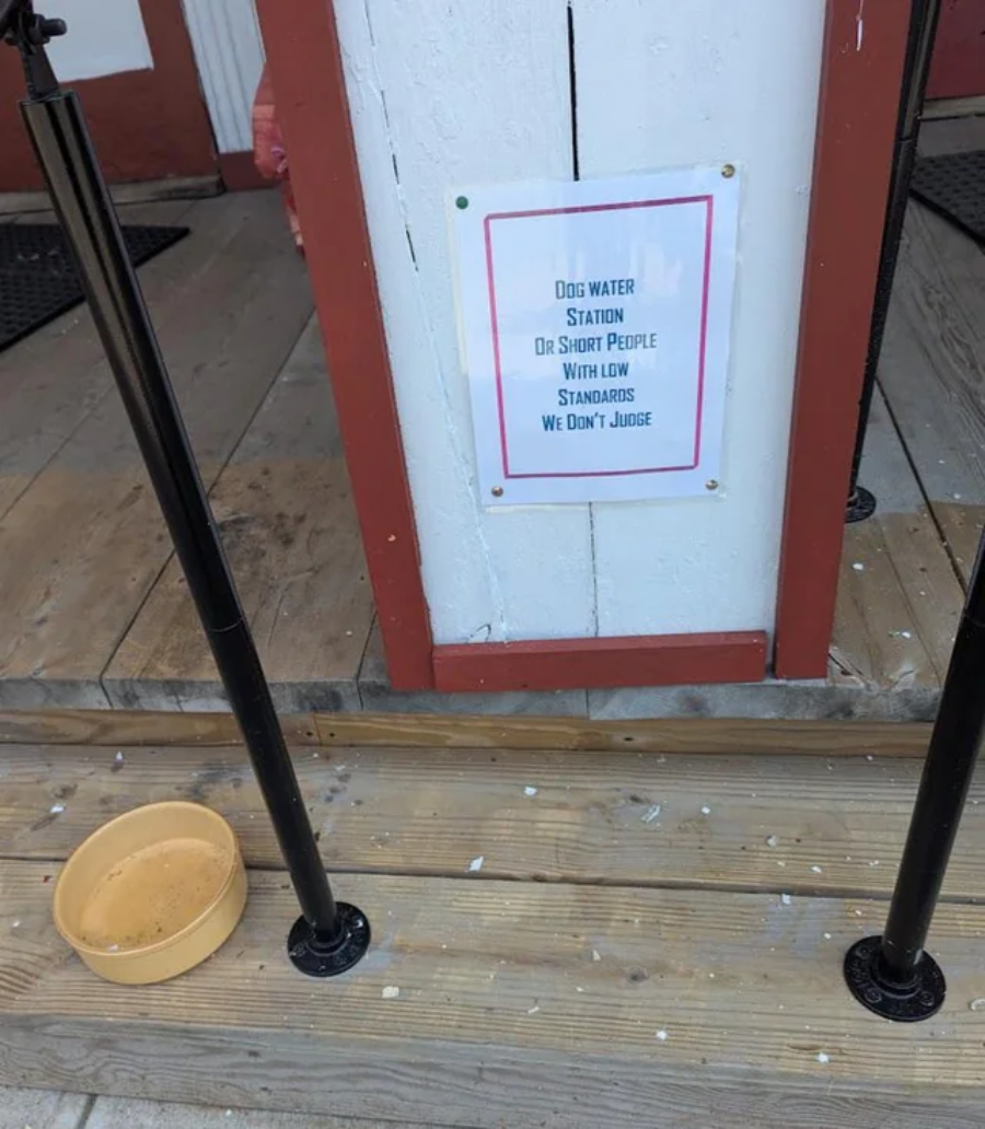 A water bowl on a wooden porch beside a sign reading, “Dog water station or short people with low standards, we don’t judge.” The sign is attached to a white post.