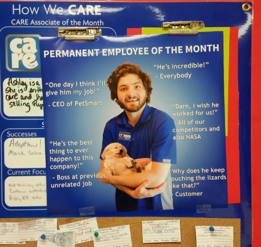 A poster features a smiling man in a blue shirt holding a puppy, titled "PERMANENT EMPLOYEE OF THE MONTH." The poster is pinned to a bulletin board and surrounded by handwritten notes and a blue “care” sign.