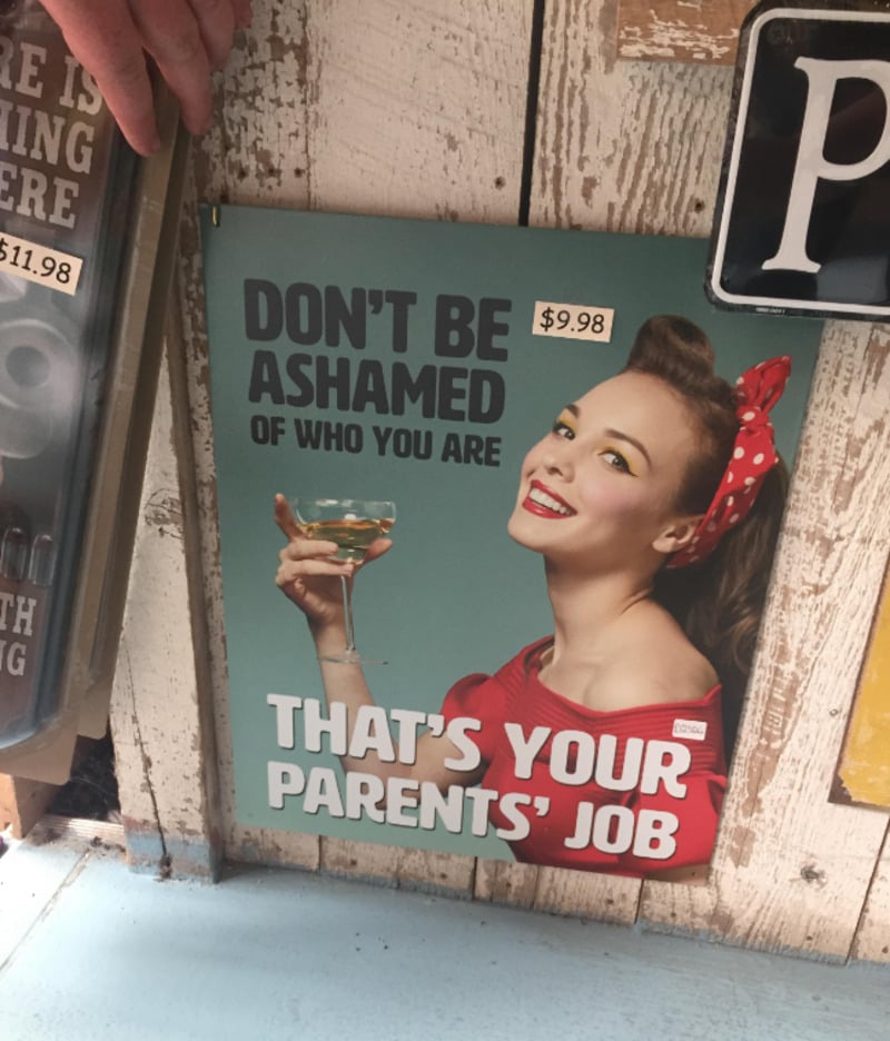 A retro-style sign features a smiling woman with a red headband and red lipstick holding a glass of wine. The sign reads: "DON'T BE ASHAMED OF WHO YOU ARE. THAT'S YOUR PARENTS' JOB." A price tag shows $9.98.