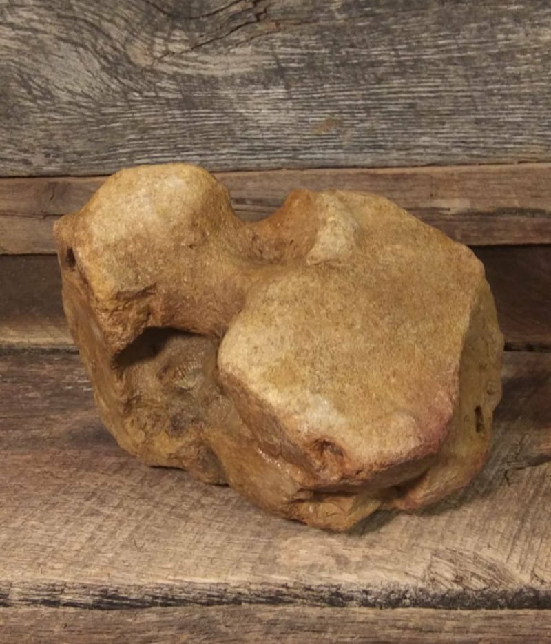 A rough, irregularly shaped brown rock sits on a wooden surface with a wooden plank background. The rock has uneven, textured surfaces and several small indentations.