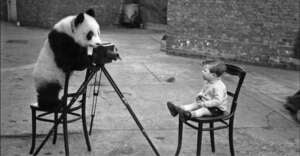 A person in a panda costume sits on a chair, operating a vintage camera on a tripod, taking a photo of a young boy seated on another chair outdoors.