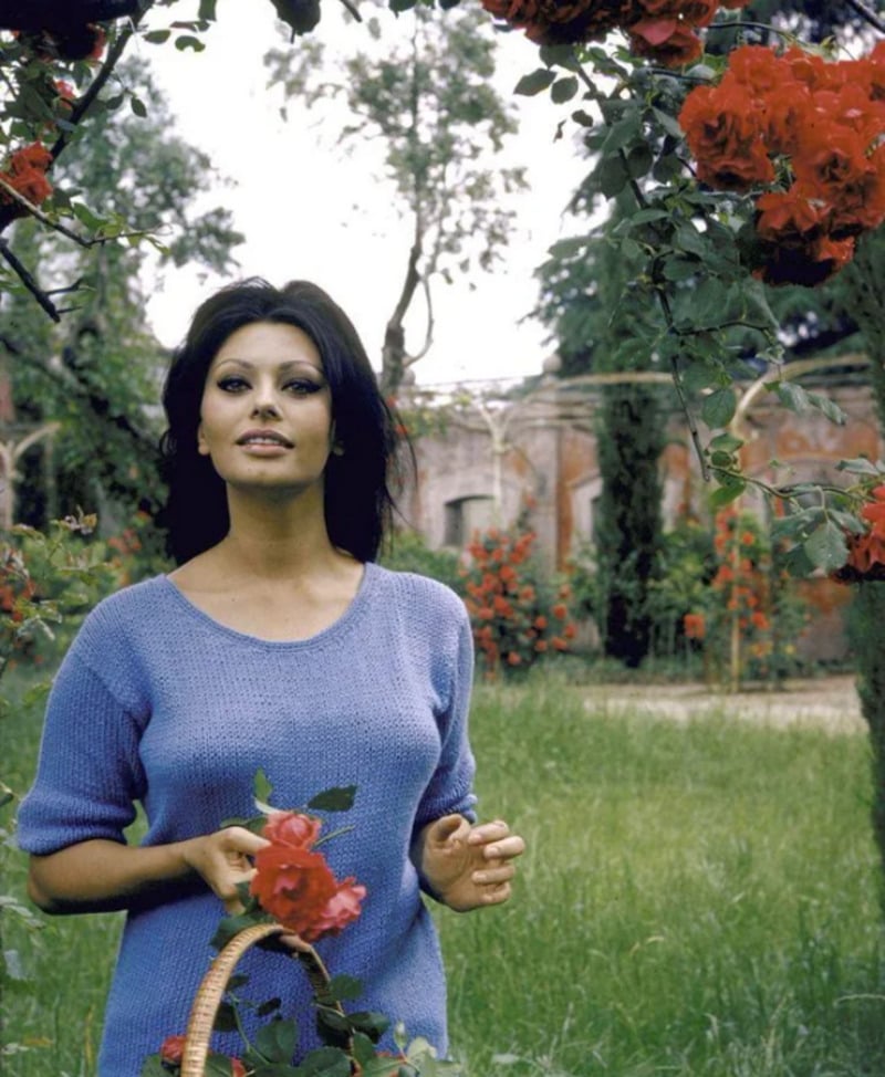 A woman with dark hair, wearing a light blue sweater, stands in a garden surrounded by red roses. She holds a basket and some roses, with greenery and a brick wall visible in the background.