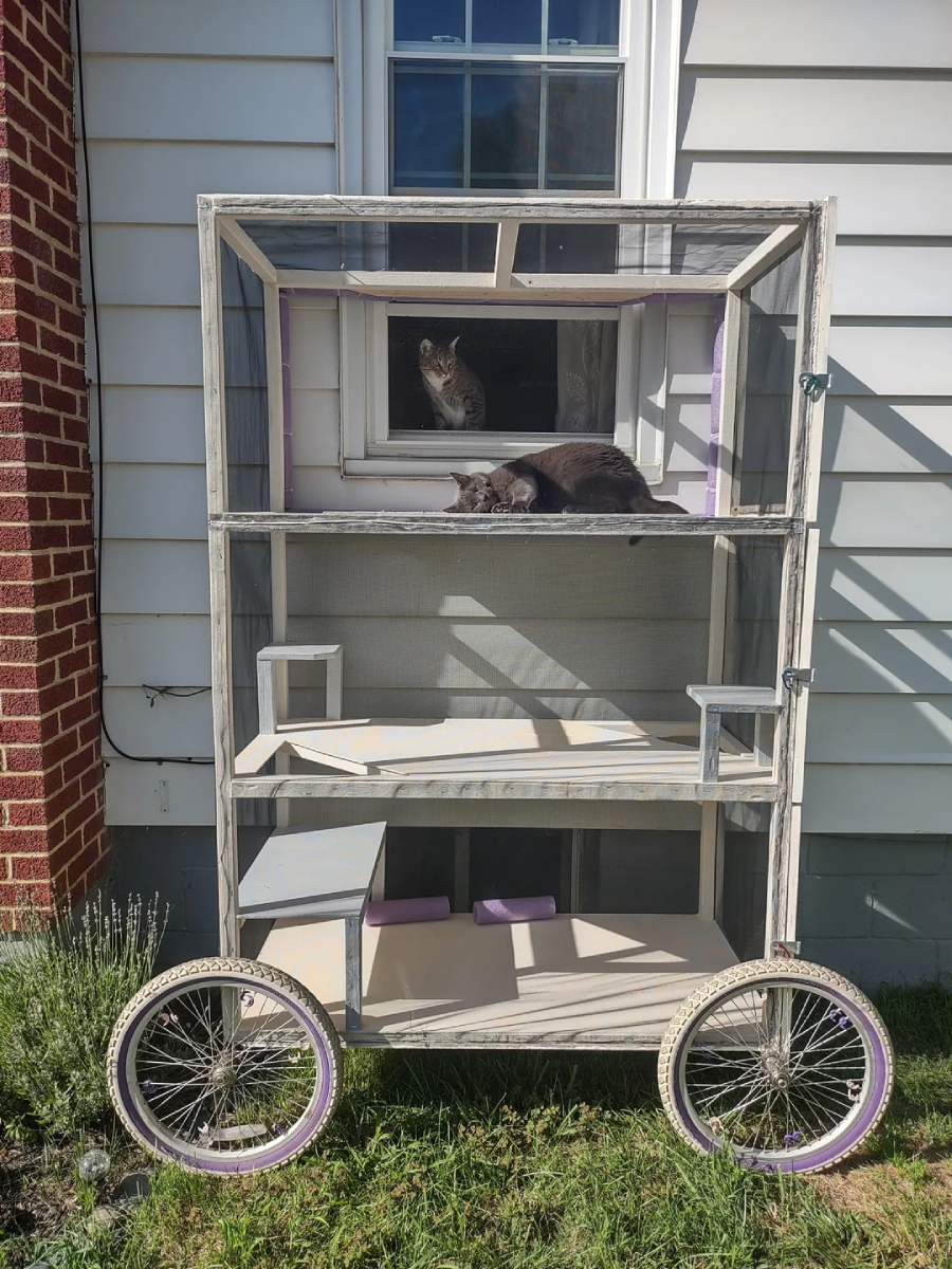 A two-level outdoor cat enclosure on wheels sits by a house window. One gray cat lounges on the top shelf, while another cat looks out from the window above the enclosure. Sunlight casts shadows on the scene.