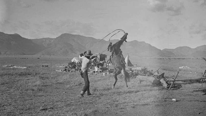 A cowboy in a wide-brimmed hat lassos a rearing horse on an open plain, with mountains and scattered camp equipment visible in the background.