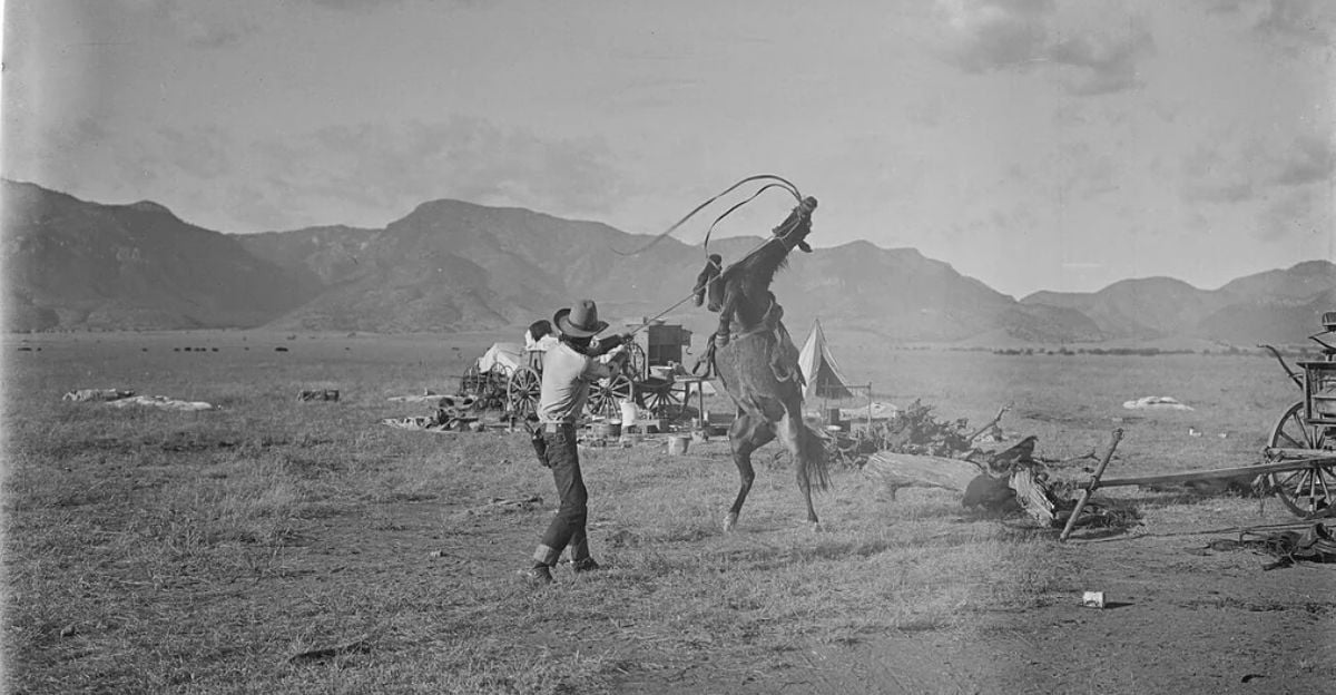 A cowboy in a wide-brimmed hat lassos a rearing horse on an open plain, with mountains and scattered camp equipment visible in the background.