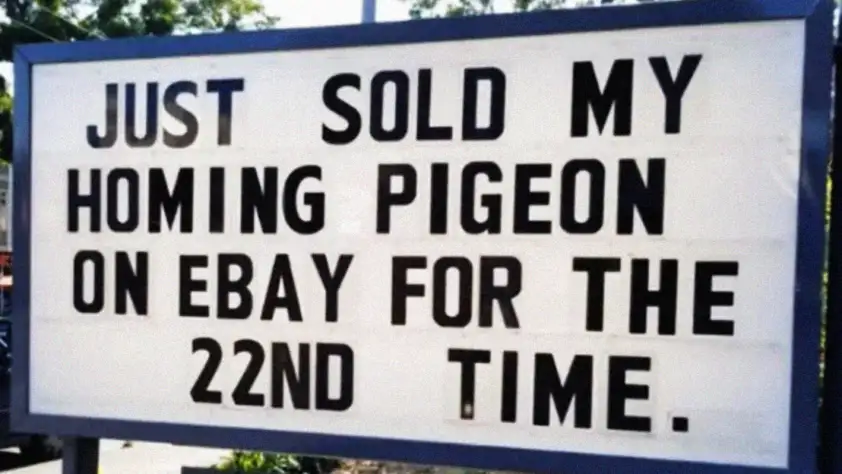 funny-sign-wins-this-week